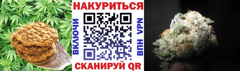где найти наркотики  ссылка на мегу зеркало  Печенье с ТГК конопля  Сегежа 