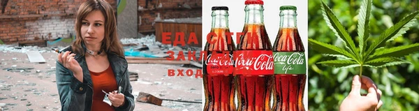 стаф Зерноград