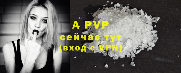 индика Пестово