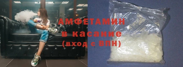гашик Пересвет