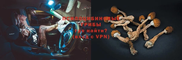 Альфа ПВП Зеленокумск
