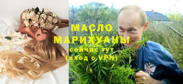 гашик Пересвет