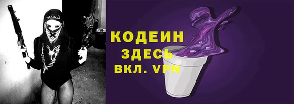 гашик Пересвет