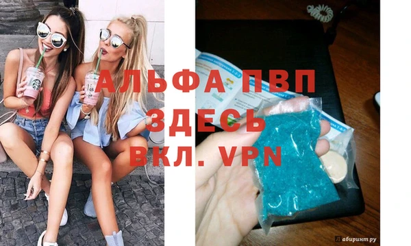 индика Пестово