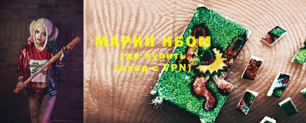 индика Пестово