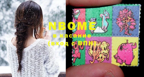 индика Пестово