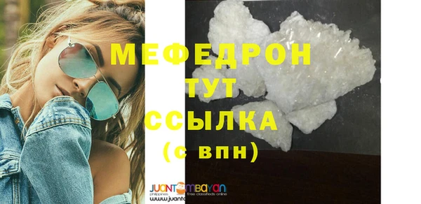 индика Пестово